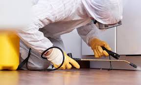 Best Pest Prevention Services  in West Reading, PA